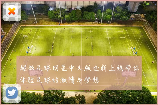 超级足球明星中文版全新上线带你体验足球的激情与梦想