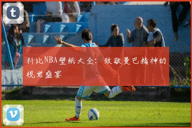 科比NBA壁纸大全：致敬曼巴精神的视觉盛宴
