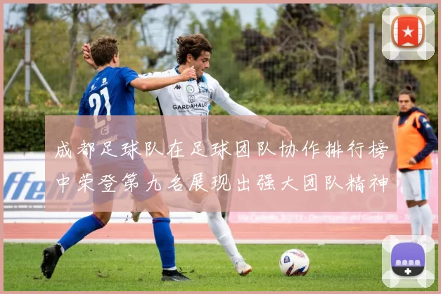 成都足球队在足球团队协作排行榜中荣登第九名展现出强大团队精神与默契配合