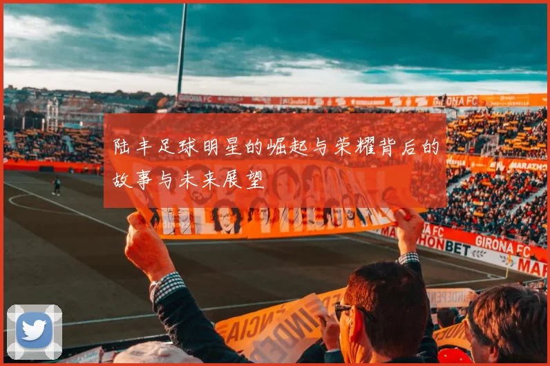 陆丰足球明星的崛起与荣耀背后的故事与未来展望