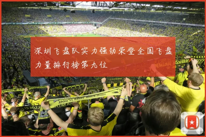 深圳飞盘队实力强劲荣登全国飞盘力量排行榜第九位