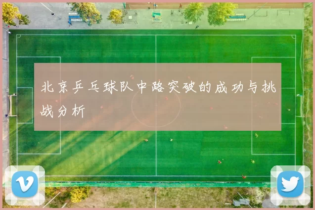 北京乒乓球队中路突破的成功与挑战分析