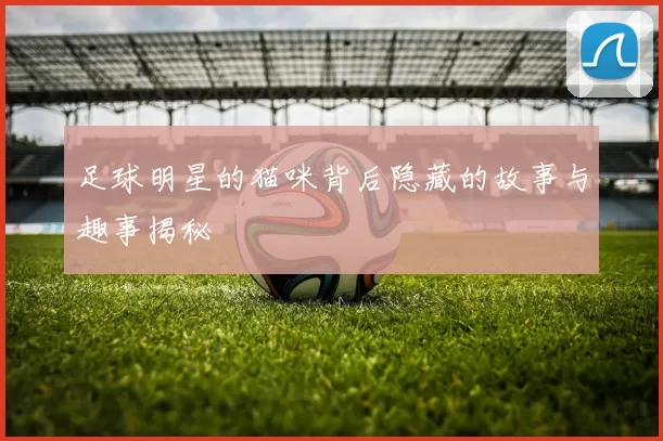 足球明星的猫咪背后隐藏的故事与趣事揭秘