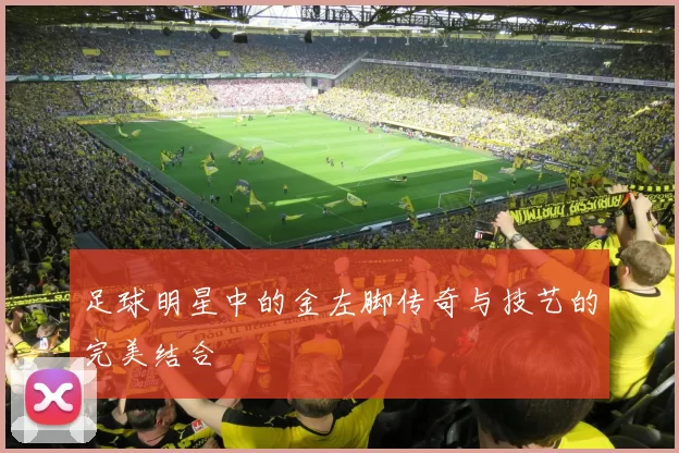 足球明星中的金左脚传奇与技艺的完美结合
