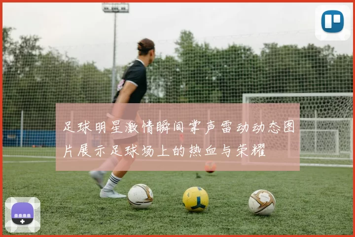 足球明星激情瞬间掌声雷动动态图片展示足球场上的热血与荣耀