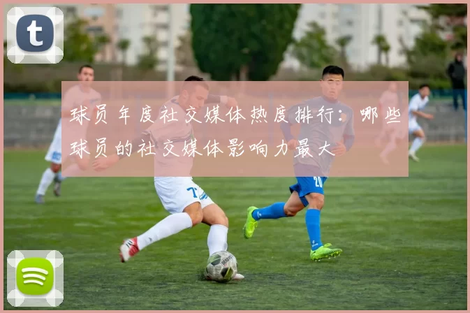 球员年度社交媒体热度排行：哪些球员的社交媒体影响力最大