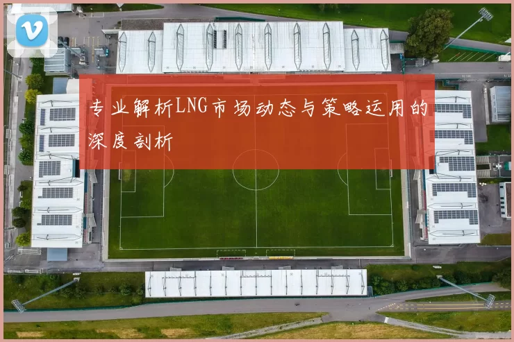 专业解析LNG市场动态与策略运用的深度剖析