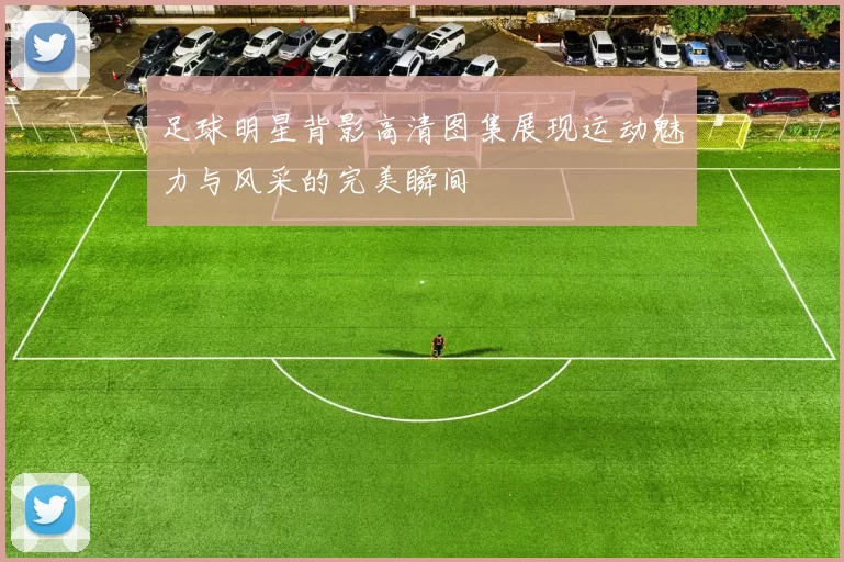 足球明星背影高清图集展现运动魅力与风采的完美瞬间