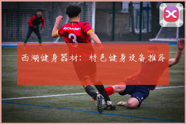 西湖健身器材：特色健身设备推荐