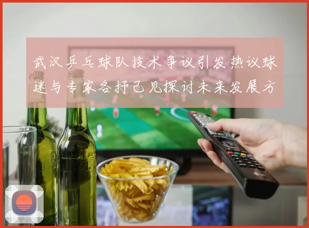 武汉乒乓球队技术争议引发热议球迷与专家各抒己见探讨未来发展方向