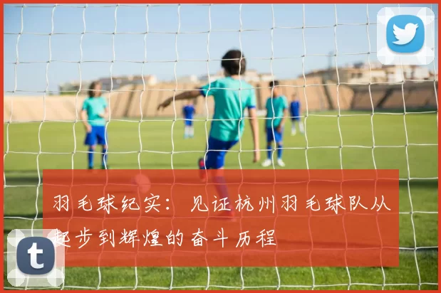 羽毛球纪实：见证杭州羽毛球队从起步到辉煌的奋斗历程