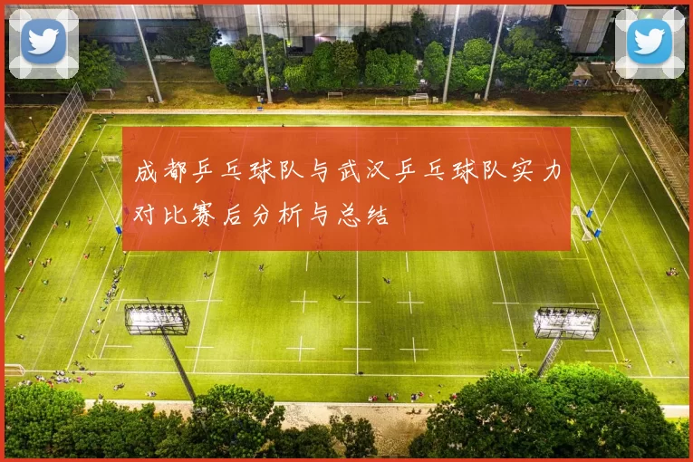 成都乒乓球队与武汉乒乓球队实力对比赛后分析与总结