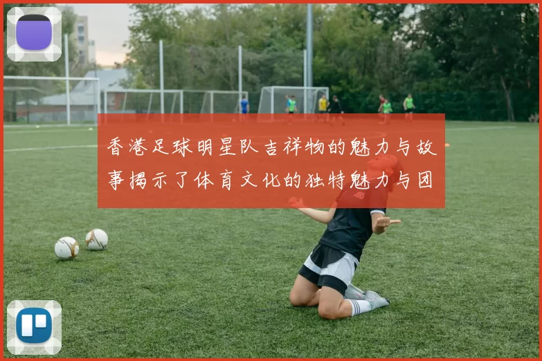 香港足球明星队吉祥物的魅力与故事揭示了体育文化的独特魅力与团队精神