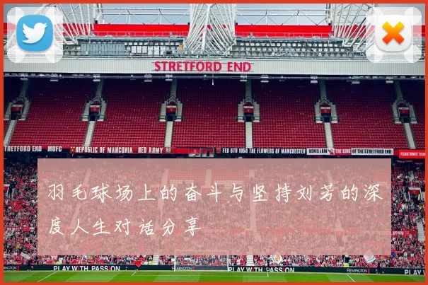 羽毛球场上的奋斗与坚持刘芳的深度人生对话分享