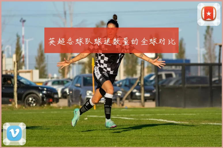 英超各球队球迷数量的全球对比