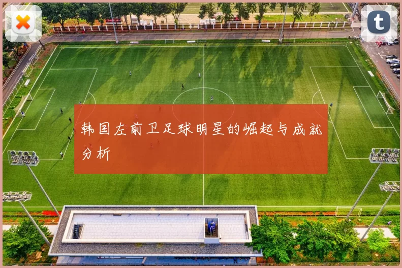 韩国左前卫足球明星的崛起与成就分析