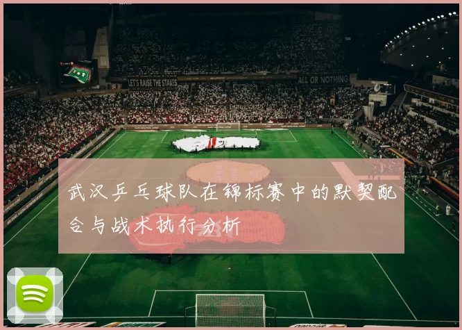 武汉乒乓球队在锦标赛中的默契配合与战术执行分析
