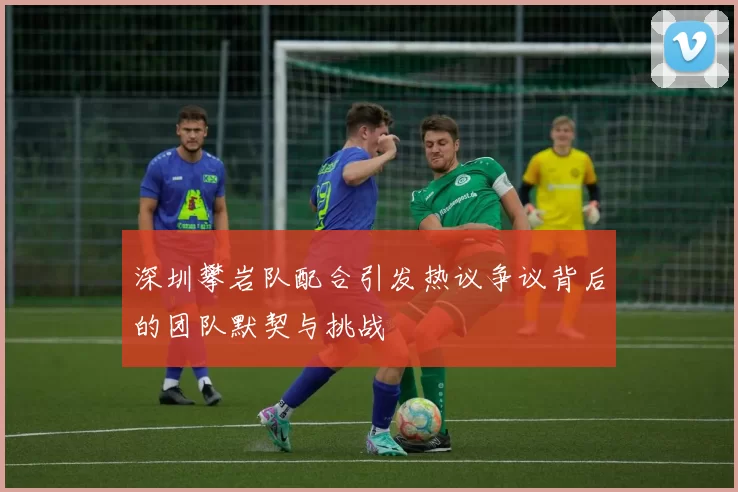 深圳攀岩队配合引发热议争议背后的团队默契与挑战