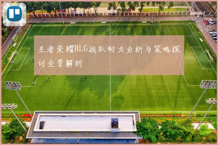 王者荣耀BLG战队耐力分析与策略探讨全景解析