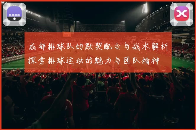 成都排球队的默契配合与战术解析探索排球运动的魅力与团队精神