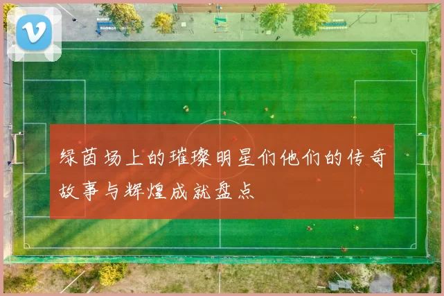 绿茵场上的璀璨明星们他们的传奇故事与辉煌成就盘点