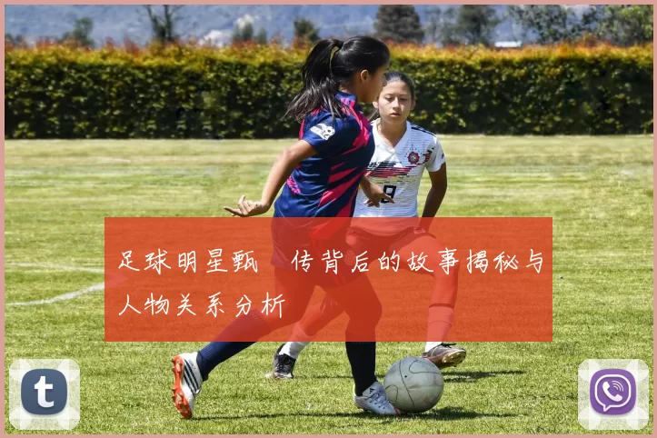 足球明星甄嬛传背后的故事揭秘与人物关系分析
