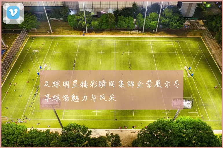 足球明星精彩瞬间集锦全景展示尽享球场魅力与风采